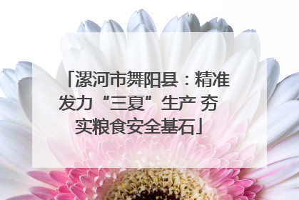 漯河市舞阳县：精准发力“三夏”生产 夯实粮食安全基石