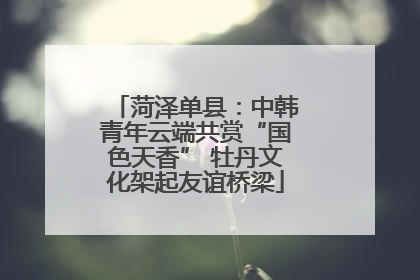 菏泽单县：中韩青年云端共赏“国色天香” 牡丹文化架起友谊桥梁