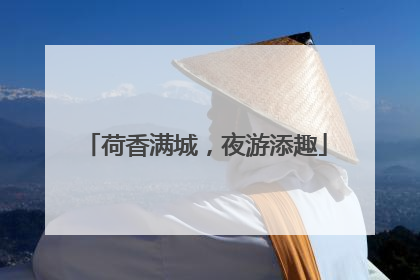 荷香满城，夜游添趣