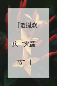 老挝欢庆“火箭节”