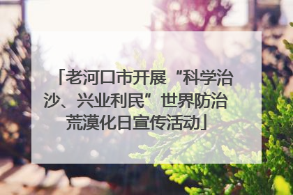 老河口市开展“科学治沙、兴业利民”世界防治荒漠化日宣传活动