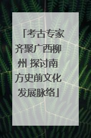 考古专家齐聚广西柳州 探讨南方史前文化发展脉络