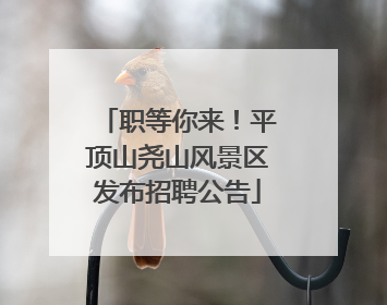 职等你来！平顶山尧山风景区发布招聘公告