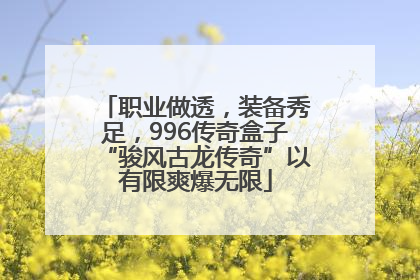 职业做透，装备秀足，996传奇盒子“骏风古龙传奇”以有限爽爆无限