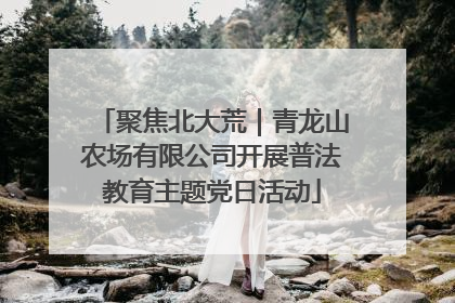 聚焦北大荒｜青龙山农场有限公司开展普法教育主题党日活动