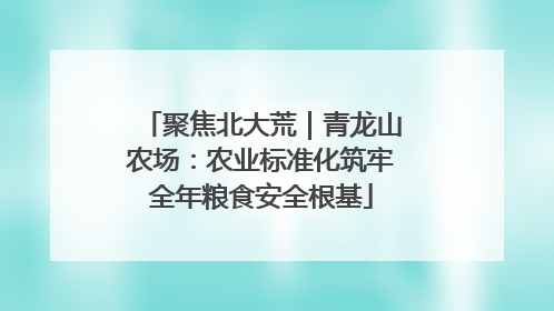 聚焦北大荒｜青龙山农场：农业标准化筑牢全年粮食安全根基