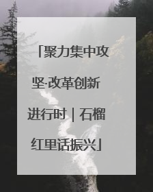 聚力集中攻坚·改革创新进行时｜石榴红里话振兴