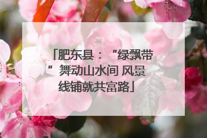 肥东县：“绿飘带”舞动山水间 风景线铺就共富路