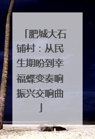 肥城大石铺村：从民生期盼到幸福蝶变奏响振兴交响曲