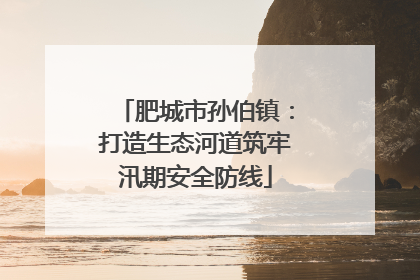 肥城市孙伯镇：打造生态河道筑牢汛期安全防线