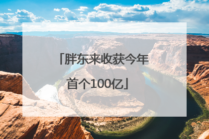 胖东来收获今年首个100亿
