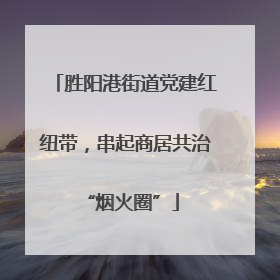 胜阳港街道党建红纽带，串起商居共治 “烟火圈”