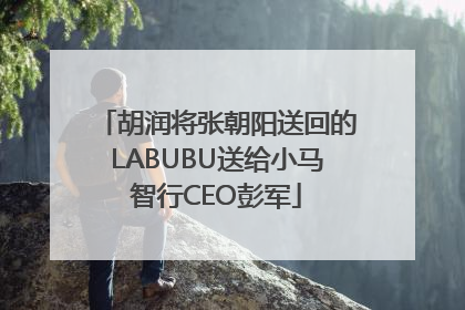 胡润将张朝阳送回的LABUBU送给小马智行CEO彭军
