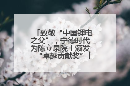 致敬“中国锂电之父”，宁德时代为陈立泉院士颁发“卓越贡献奖”