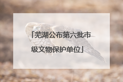 芜湖公布第六批市级文物保护单位