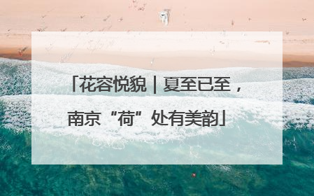 花容悦貌｜夏至已至，南京“荷”处有美韵