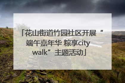 花山街道竹园社区开展“端午嘉年华 粽享city walk”主题活动