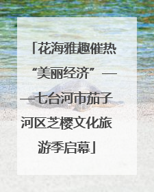 花海雅趣催热“美丽经济”——七台河市茄子河区芝樱文化旅游季启幕