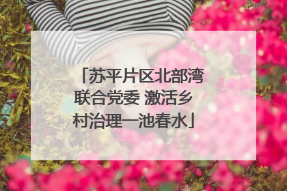 苏平片区北部湾联合党委 激活乡村治理一池春水