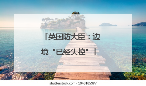 英国防大臣：边境“已经失控”