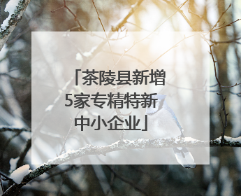 茶陵县新增5家专精特新中小企业