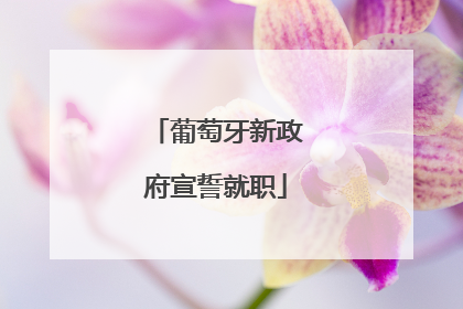 葡萄牙新政府宣誓就职