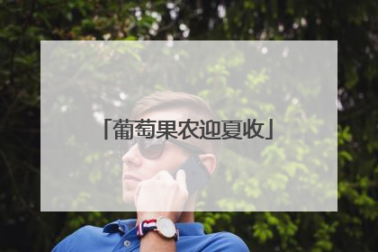 葡萄果农迎夏收