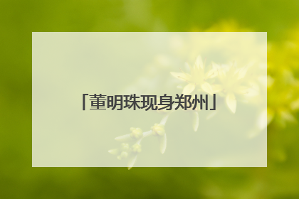 董明珠现身郑州