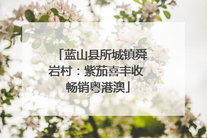 蓝山县所城镇舜岩村：紫茄喜丰收 畅销粤港澳