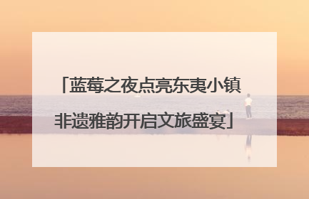 蓝莓之夜点亮东夷小镇 非遗雅韵开启文旅盛宴