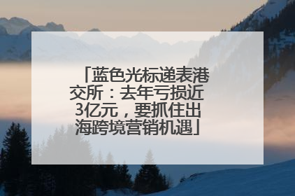 蓝色光标递表港交所：去年亏损近3亿元，要抓住出海跨境营销机遇