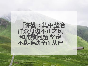 许勤：集中整治群众身边不正之风和腐败问题 坚定不移推动全面从严治党向基层延伸