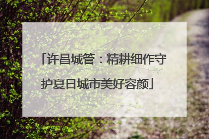 许昌城管：精耕细作守护夏日城市美好容颜