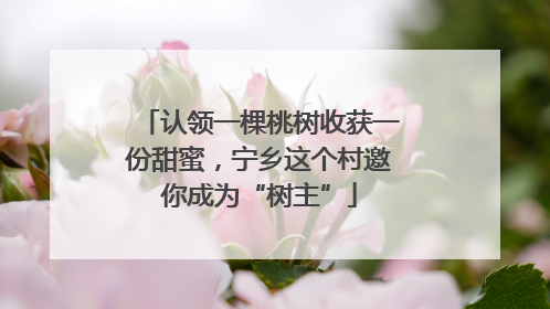 认领一棵桃树收获一份甜蜜，宁乡这个村邀你成为“树主”