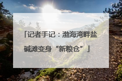 记者手记：渤海湾畔盐碱滩变身“新粮仓”