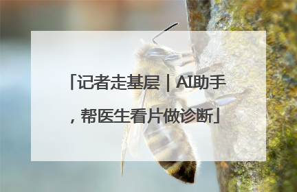 记者走基层｜AI助手，帮医生看片做诊断
