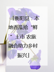 衡阳县：本地香瓜抢“鲜”上市 农旅融合助力乡村振兴