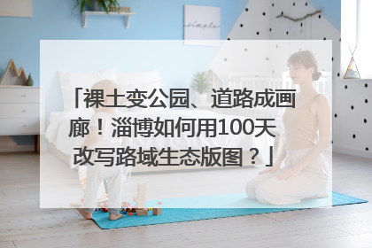 裸土变公园、道路成画廊！淄博如何用100天改写路域生态版图？