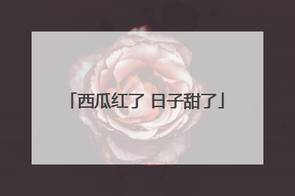 西瓜红了 日子甜了