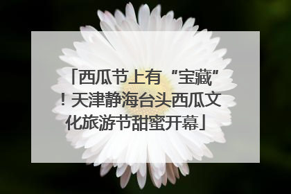 西瓜节上有“宝藏”！天津静海台头西瓜文化旅游节甜蜜开幕