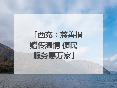 西充：慈善捐赠传温情 便民服务惠万家