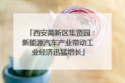 西安高新区集贤园：新能源汽车产业带动工业经济迅猛增长