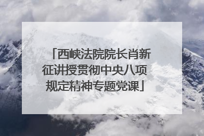 西峡法院院长肖新征讲授贯彻中央八项规定精神专题党课