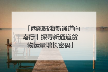西部陆海新通道向南行丨探寻新通道货物运量增长密码