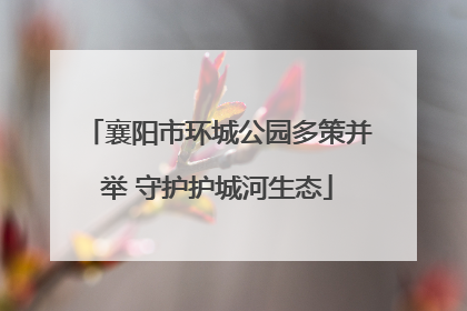 襄阳市环城公园多策并举 守护护城河生态
