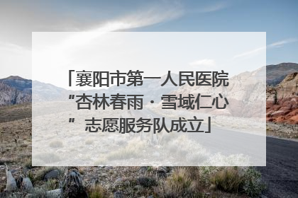 襄阳市第一人民医院“杏林春雨・雪域仁心”志愿服务队成立
