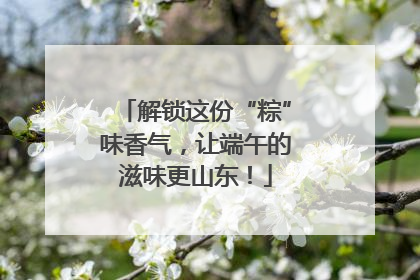 解锁这份“粽”味香气，让端午的滋味更山东！