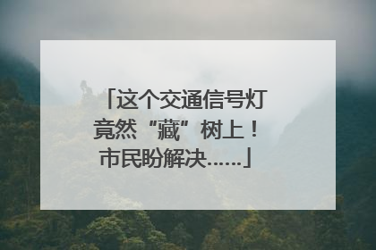 这个交通信号灯竟然“藏”树上！市民盼解决……