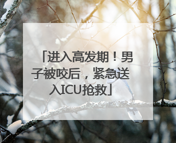 进入高发期！男子被咬后，紧急送入ICU抢救