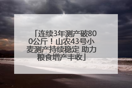 连续3年测产破800公斤！山农43号小麦测产持续稳定 助力粮食增产丰收